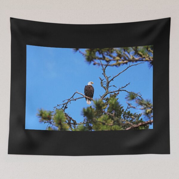 Item preview, Bald Eagle Looking Regal designed and sold by Deb Oppermann.