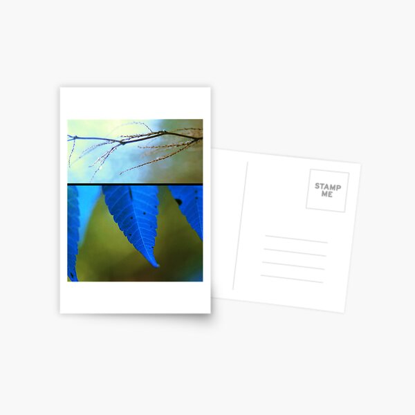 Memories in Blue Postcard