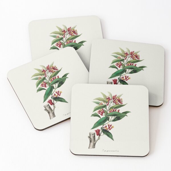 Item preview, Vintage Botanical Clove Plant-Solid Background designed and sold by ElectricCoffee.