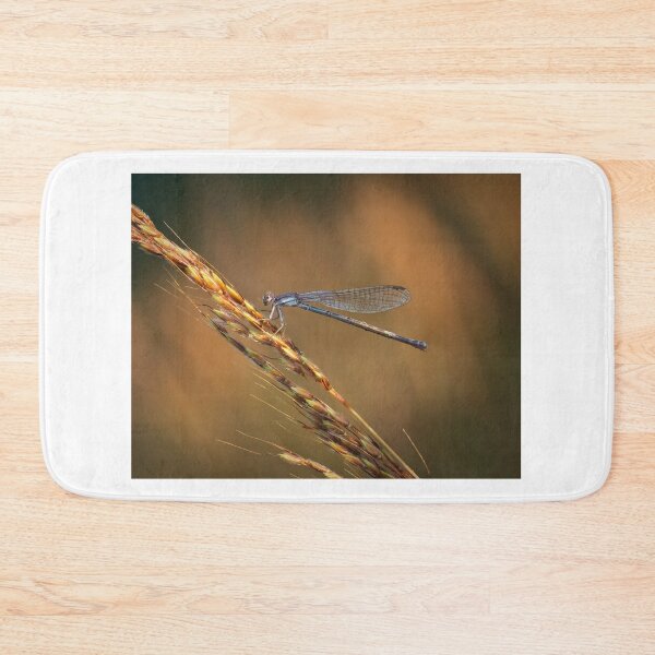 Item preview, Damselfly Hunting in the Evening Sunlight designed and sold by dlamb.