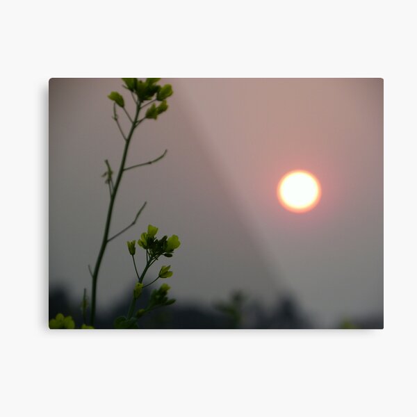 Dusk 05 Metal Print