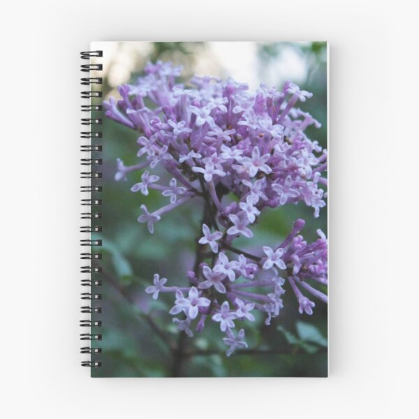 Item preview, Purple Lilac 2 designed and sold by Lydia Planalp.