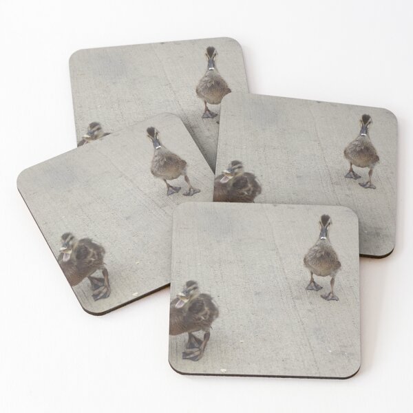 Aperçu de l'œuvre Canards mignons créée et vendue par CelticWolfArt.