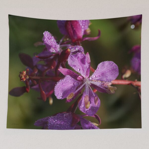 Item preview, Flower designed and sold by joan manel zamora.
