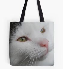 feline friends and his names sploge.. Tote Bag
