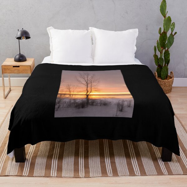 Abstract Photography Print, Trees and Light Throw Blanket