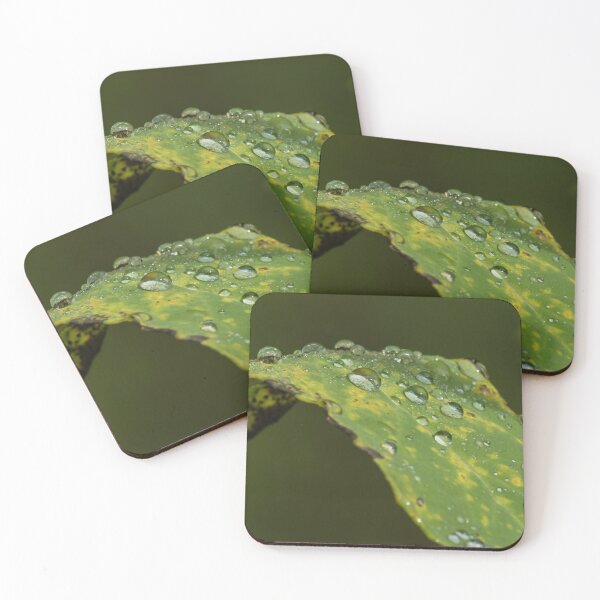 Item preview, drops designed and sold by joan manel zamora.