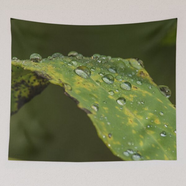 Item preview, drops designed and sold by joan manel zamora.