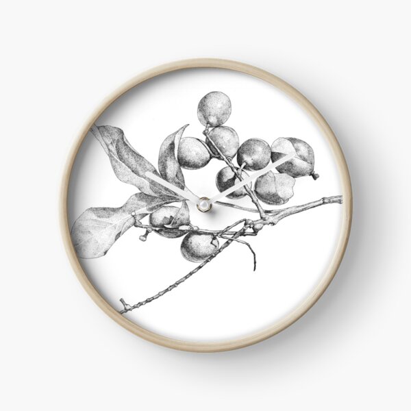 Item preview, Mamoncillo Fruit designed and sold by by plop.