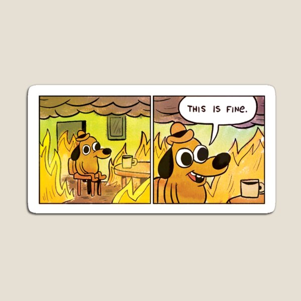 This is fine Magnet