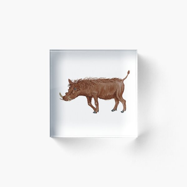 Copy of Warthog Acrylic Block