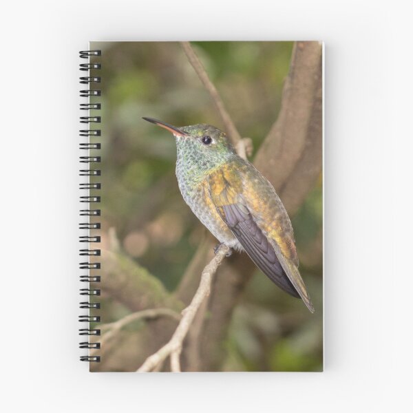 Item preview, Hummingbird designed and sold by Philippe Widling.