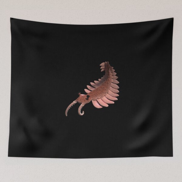 Item preview, Anomalocaris, creature of the Cambrian period designed and sold by DottedYeti.