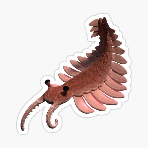 Anomalocaris, creature of the Cambrian period Sticker