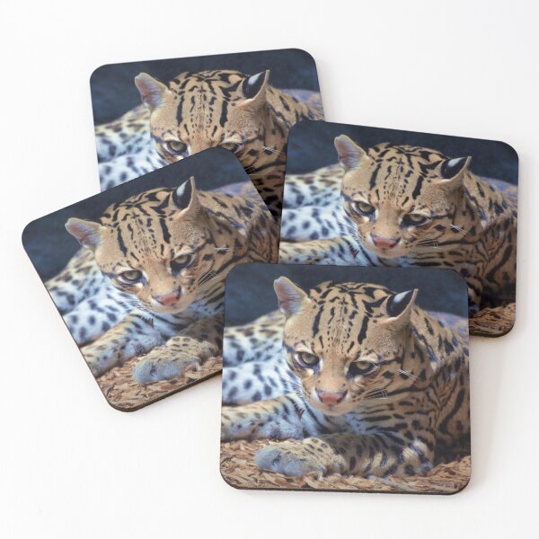 Item preview, Ocelot designed and sold by Savannah Gibbs.