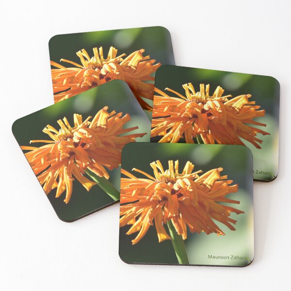 Item preview, Orange Zinnia designed and sold by Maureen Zaharie.