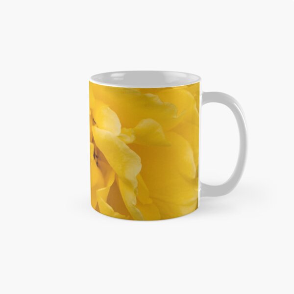 Item preview, Blooming Mellow Yellow Floribunda rose in the garden designed and sold by Chee Sim.