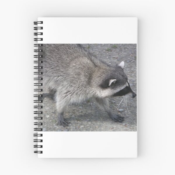 Item preview, Rocky Raccoon on the Prowl designed and sold by oinkjames.