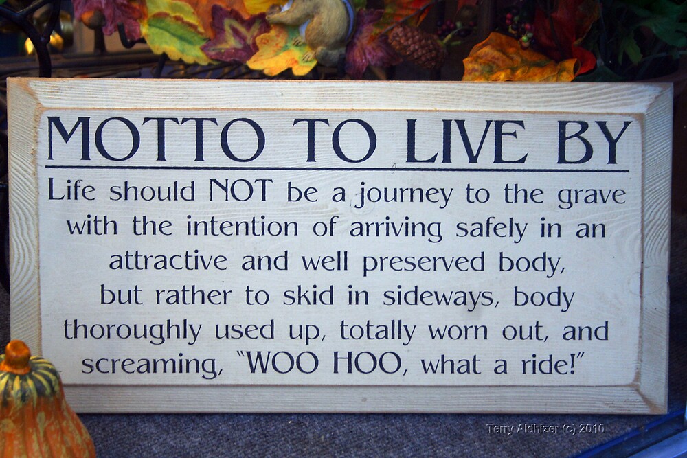 "MOTTO TO LIVE BY" by Terry Aldhizer Redbubble