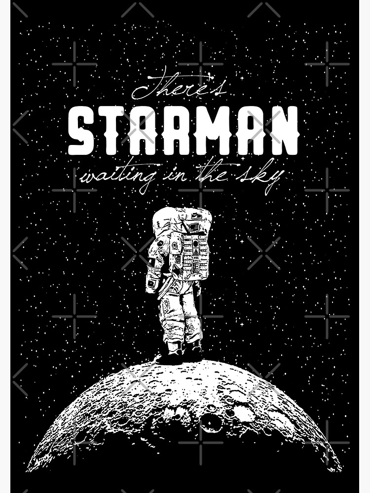 Disover Starman Alone Premium Matte Vertical Poster