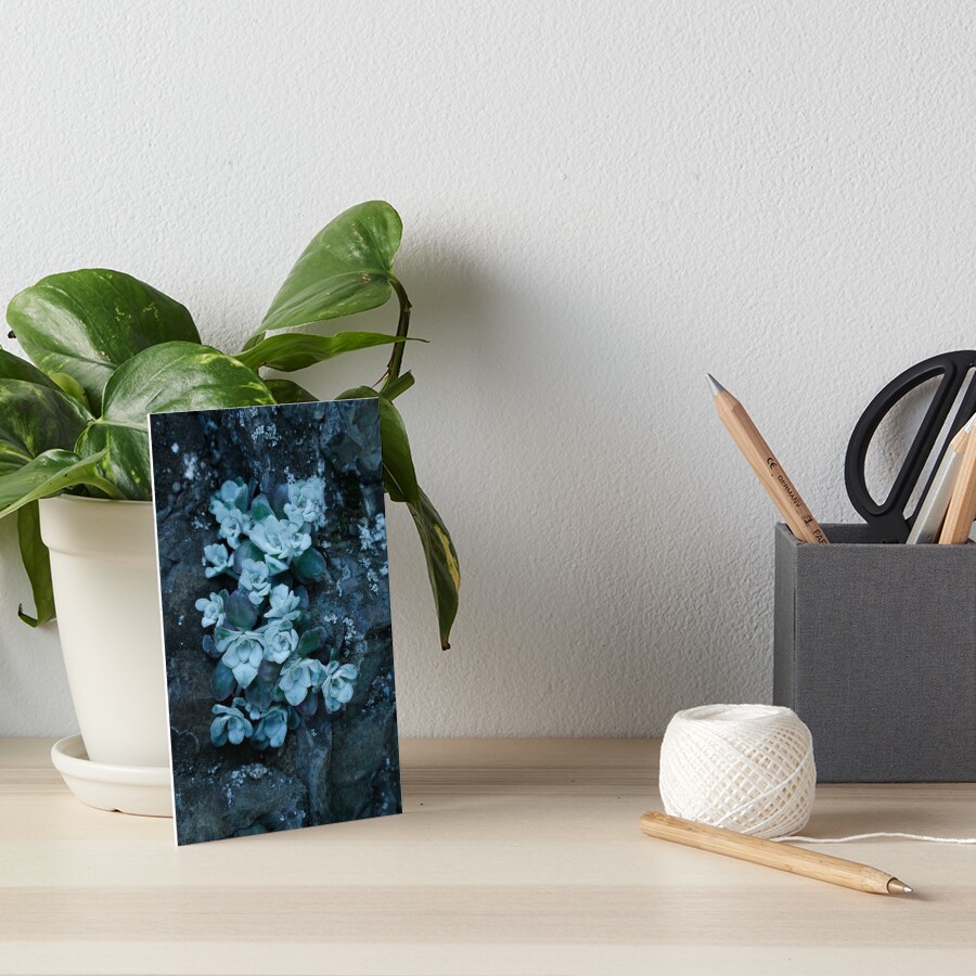 cool blue wild succulents Art Board Print