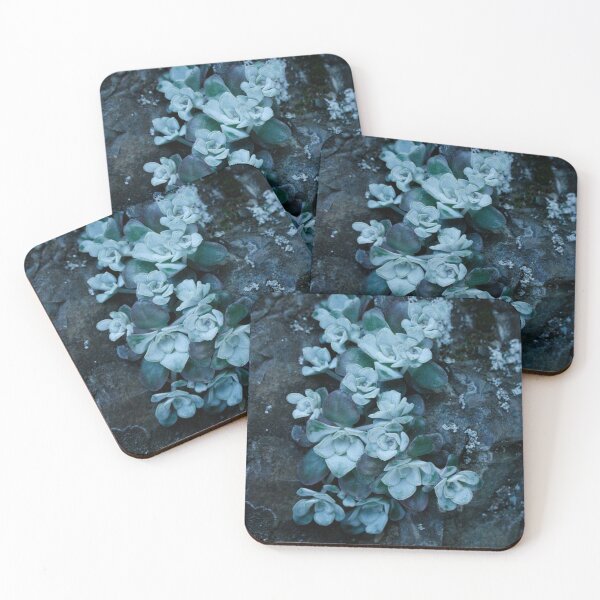 Item preview, cool blue wild succulents designed and sold by craftordiy.art.