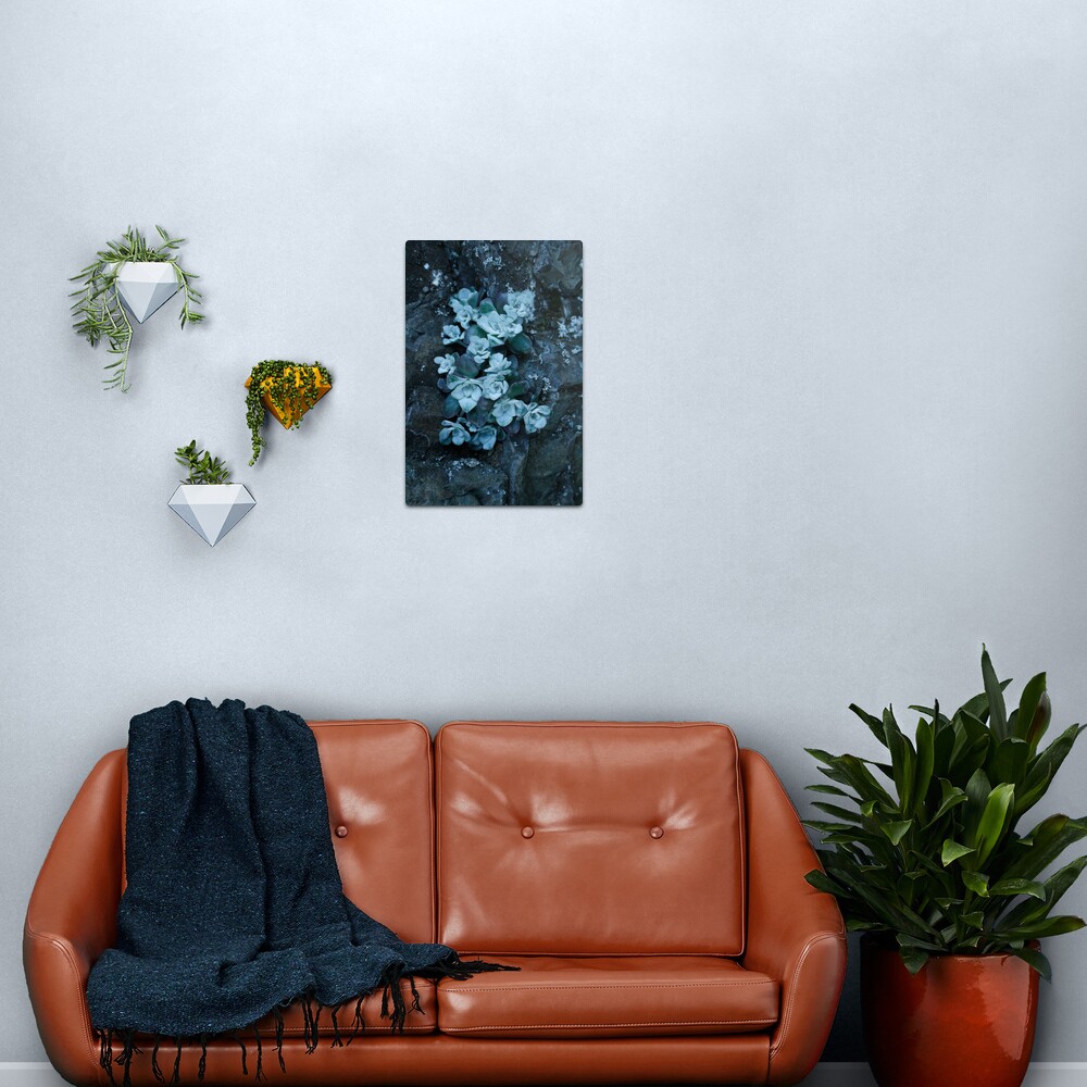 cool blue wild succulents Metal Print