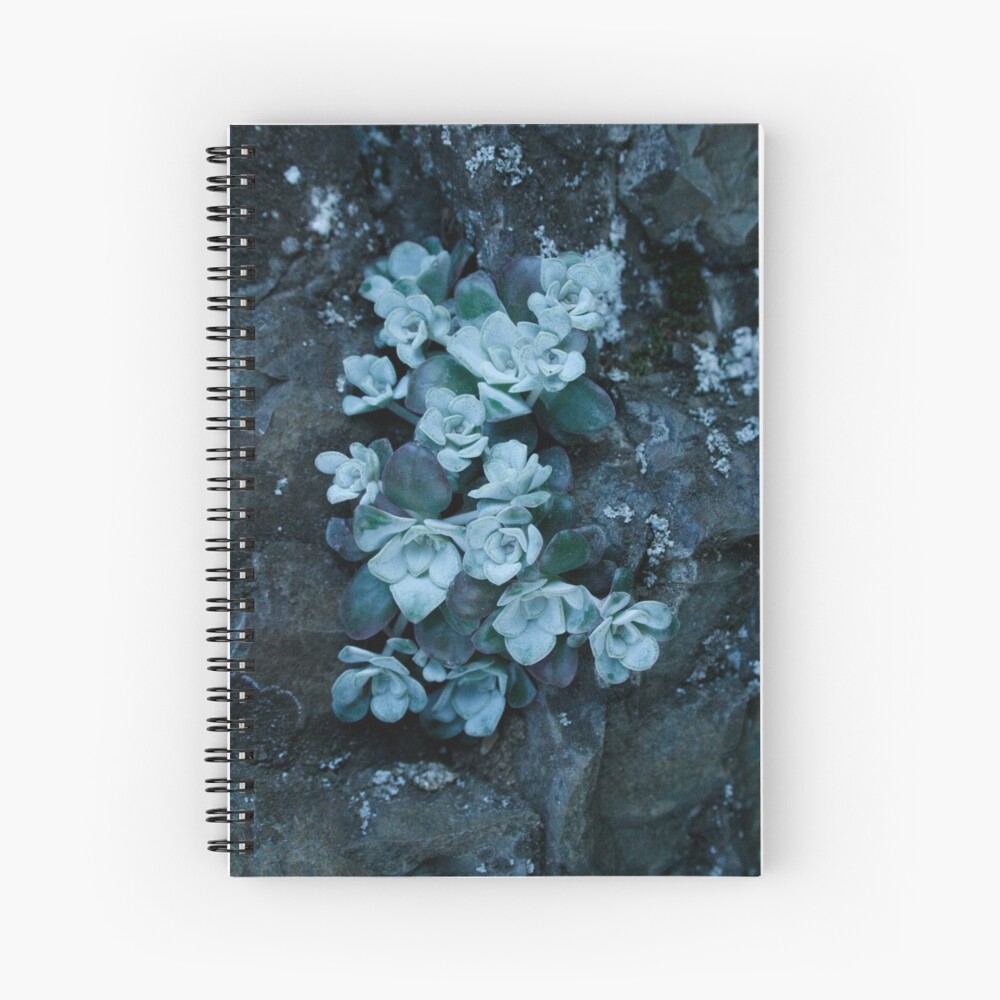 cool blue wild succulents Spiral Notebook
