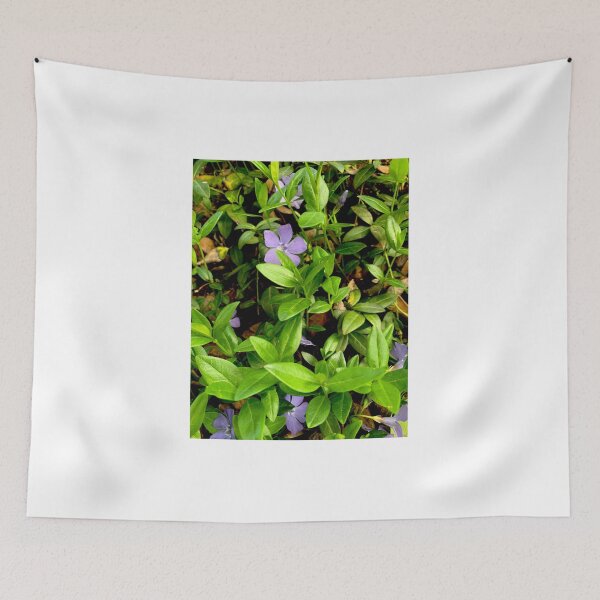 Item preview, Purple Star Flowers designed and sold by Megan Petroski.
