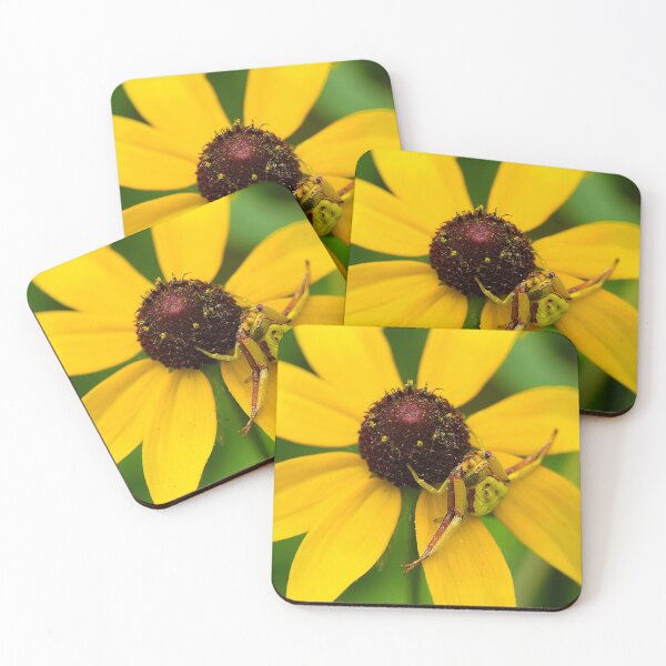 Item preview, I Know You Can't See Me designed and sold by Brenda Burnett.