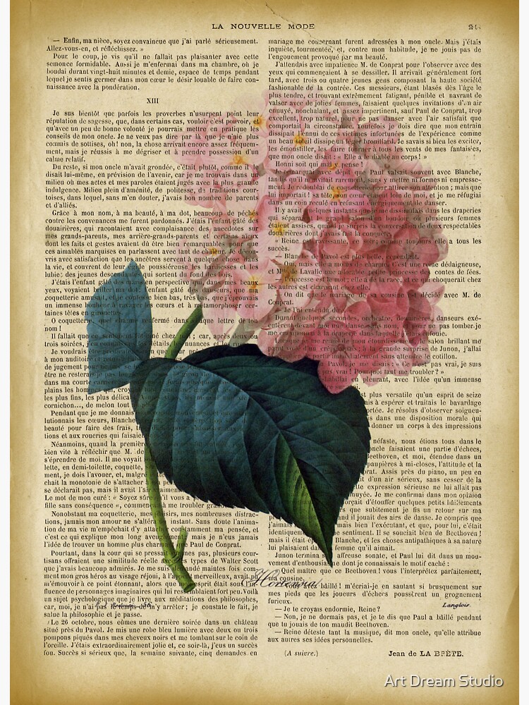 Botanical print, on old book page - Hydrangea blossom Sticker for Sale by  Art Dream Studio