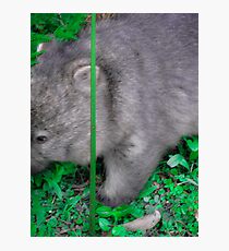 split screen Photographic Print