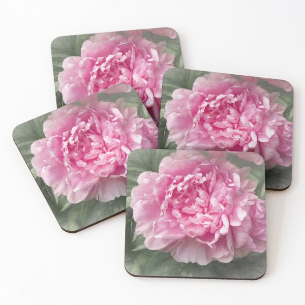 Item preview, peony designed and sold by Heather Buechel.