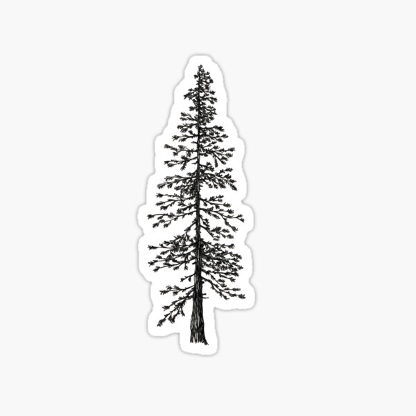 Artikel-Vorschau von Doug Fir #2, designt und verkauft von Laura Carim Todd.