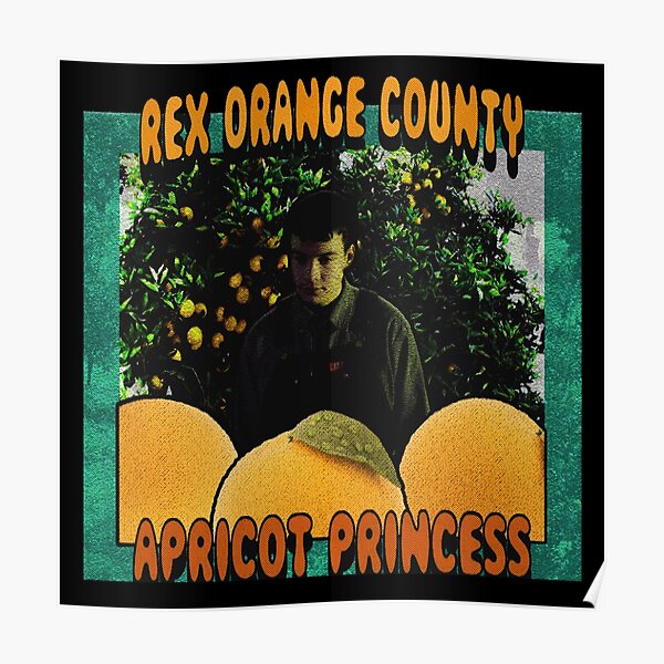 Apricot Orange Poster