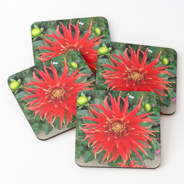 Item preview, Monterey Floral Study 3  designed and sold by Robert Meyers-Lussier.