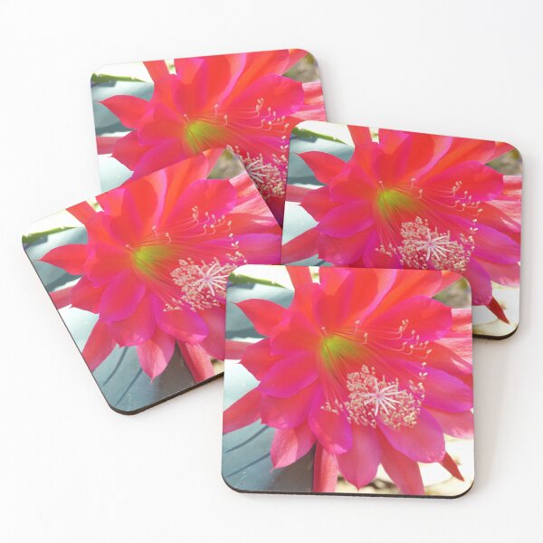 Item preview, Pink Cactus Flower designed and sold by ginnymac.