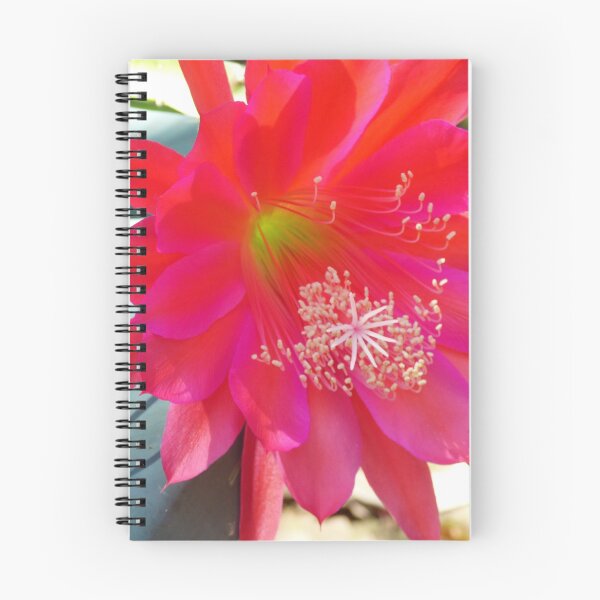 Item preview, Pink Cactus Flower designed and sold by ginnymac.