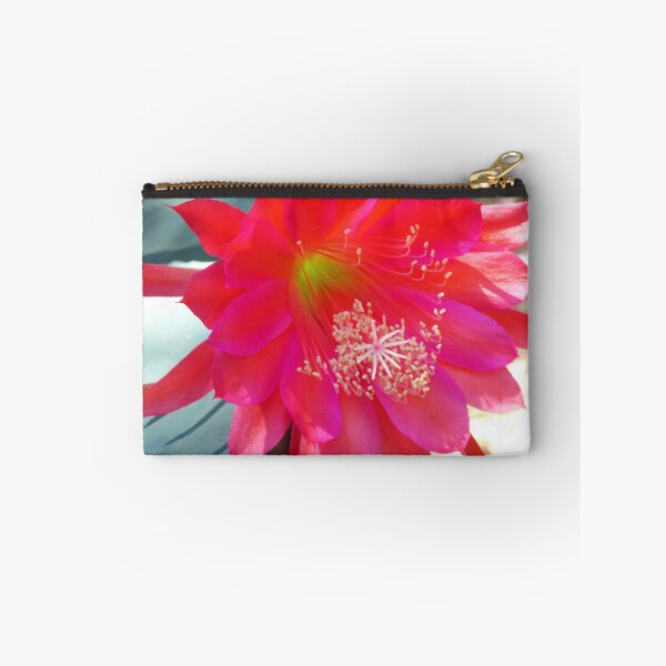 Item preview, Pink Cactus Flower designed and sold by ginnymac.