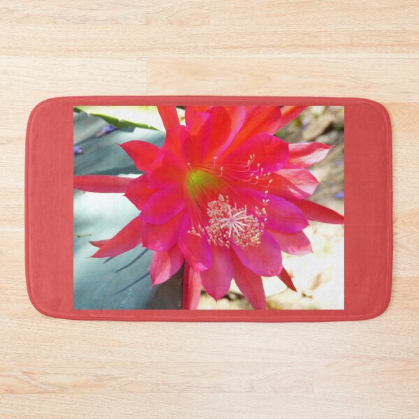 Item preview, Pink Cactus Flower designed and sold by ginnymac.