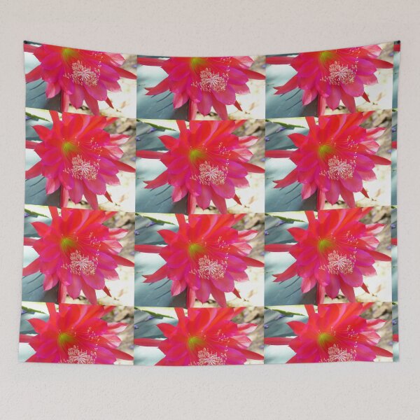 Item preview, Pink Cactus Flower designed and sold by ginnymac.