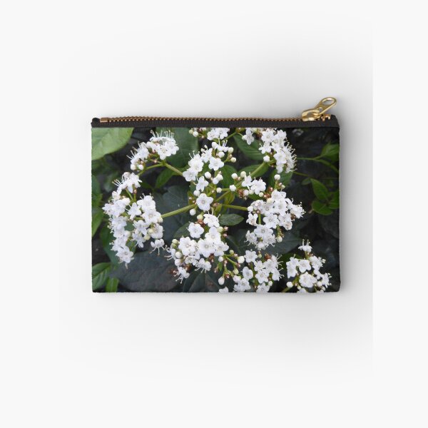 Item preview, Then the Flower! What is the plant in our Garden. kalaryder has named it. A Viburnam larustinus! designed and sold by RitaBlom.