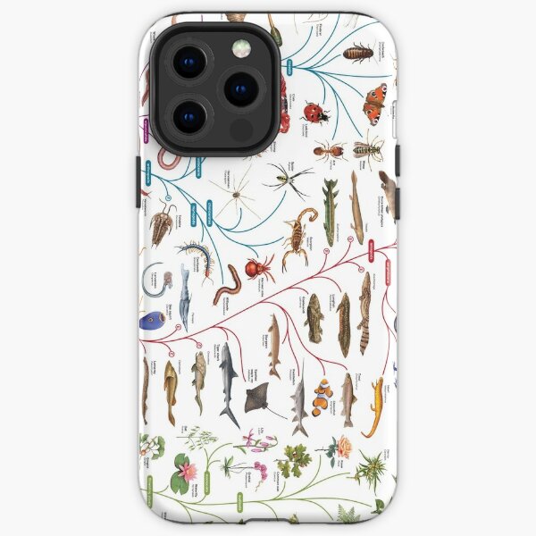 Tree of Animal Life - Evolution is change in the heritable characteristics of biological populations over successive generations iPhone Tough Case