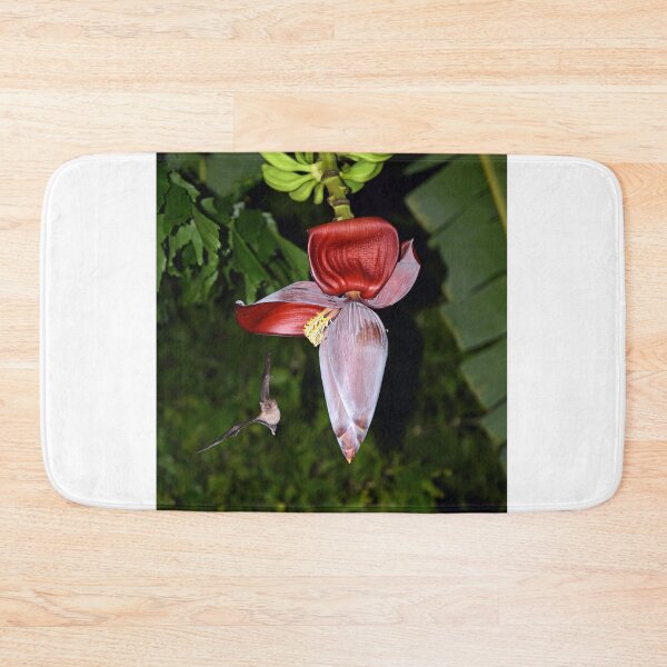 Item preview, Bat Pollinating a Banana Plant designed and sold by Chris Monks.