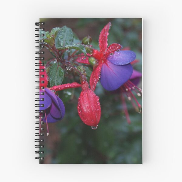 Item preview, Fuschia designed and sold by Danielle Glidden.