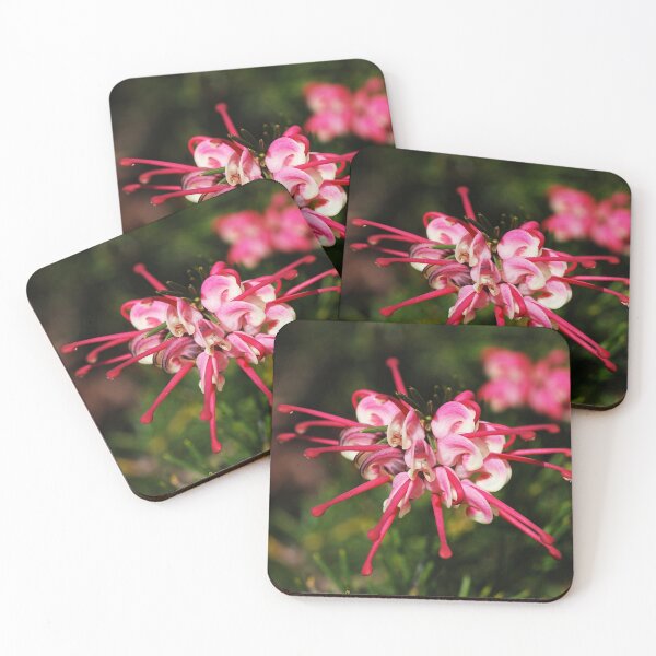Item preview, Grevillea Flowers In Pinks designed and sold by Joy Watson - Natural Light Photography .