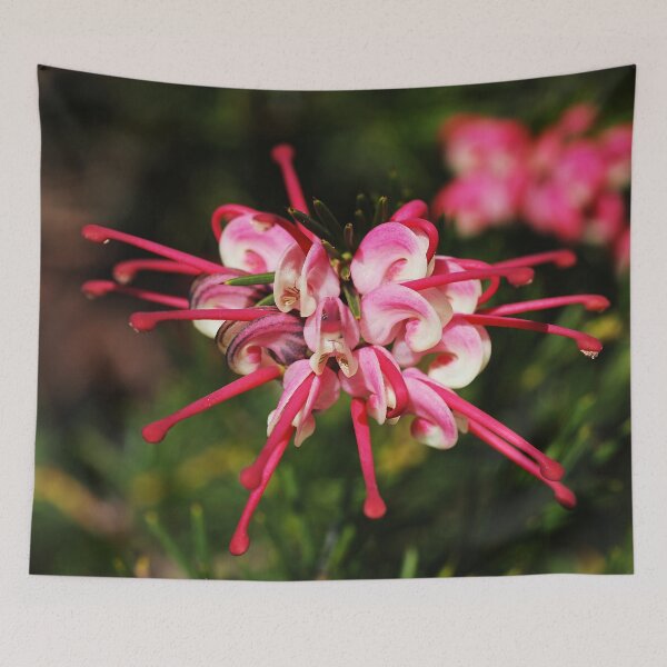 Item preview, Grevillea Flowers In Pinks designed and sold by Joy Watson - Natural Light Photography .