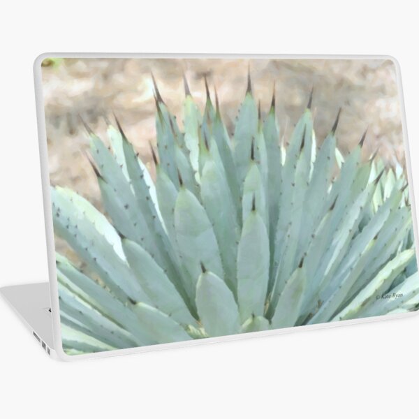 Succulents, Dreamy Southwest Photography - Agave Cactus 3 Laptop Skin