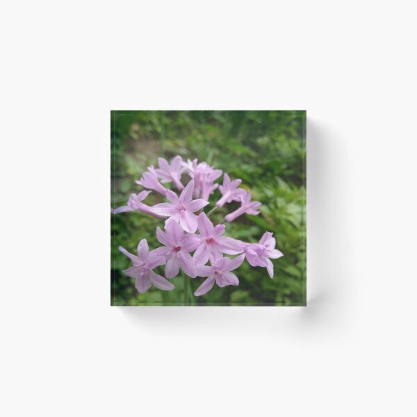 Item preview, Floral Dance designed and sold by SpiritualBeing.