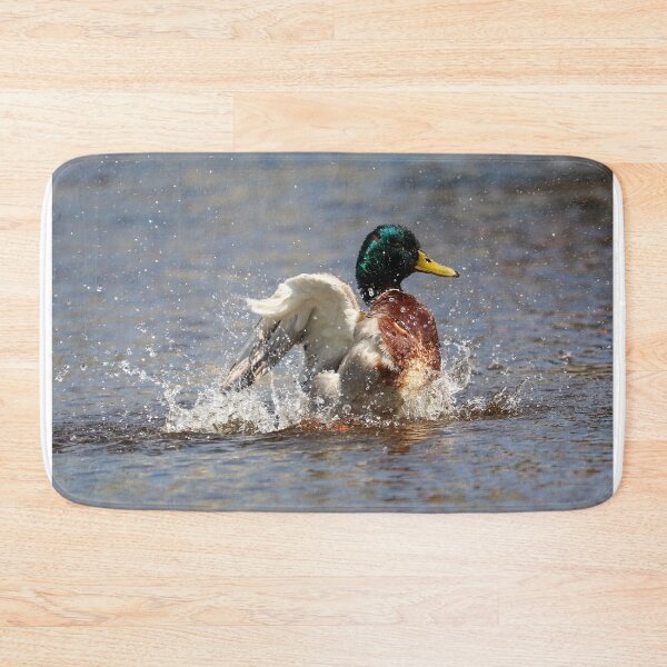 Item preview.